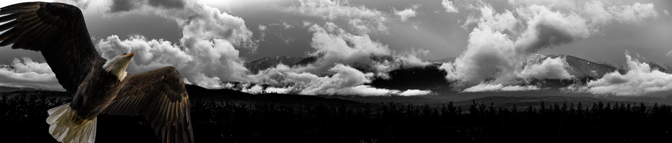 eagle flying up through the clouds