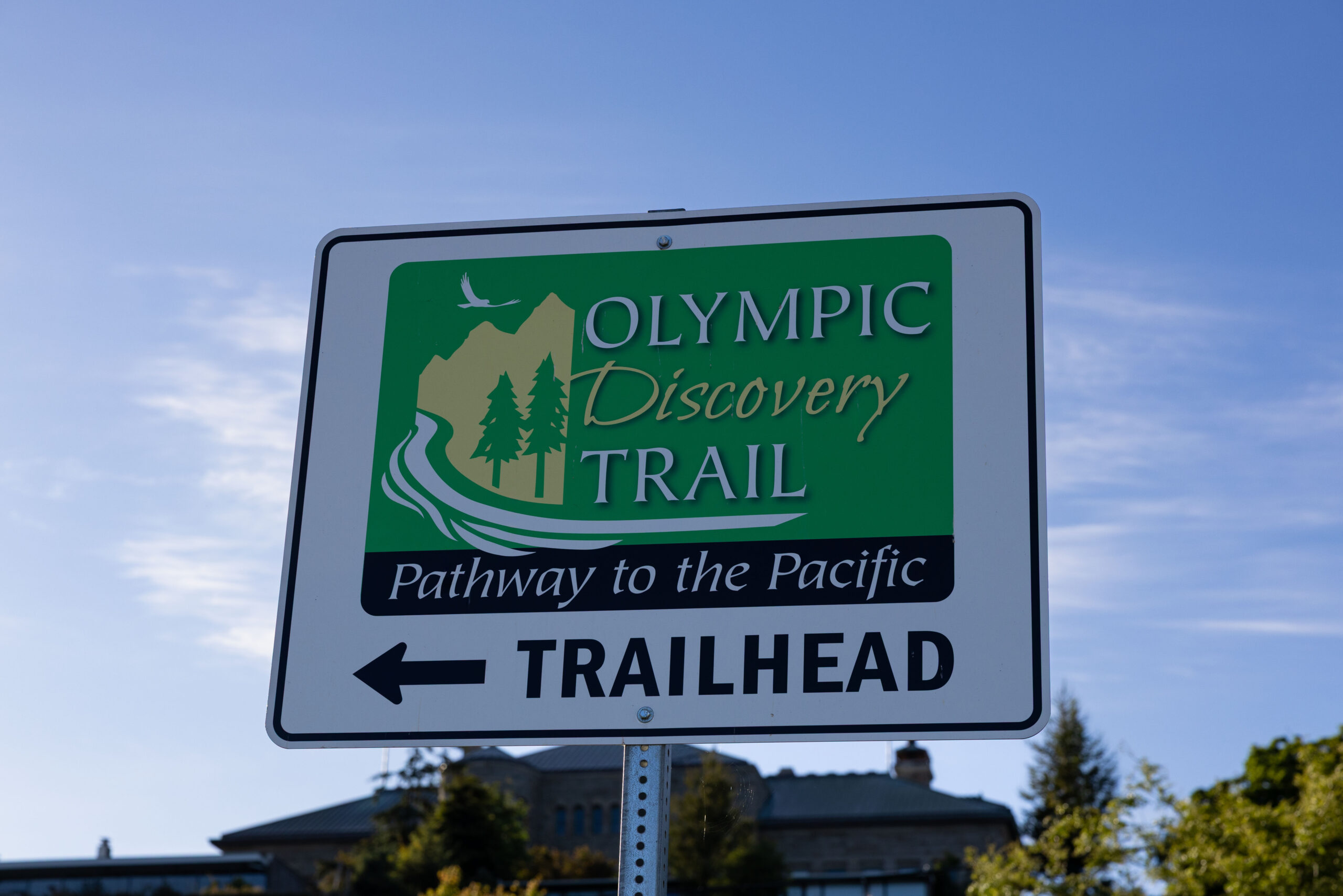 Behind the Lens: A Summer Adventure on the Olympic Peninsula