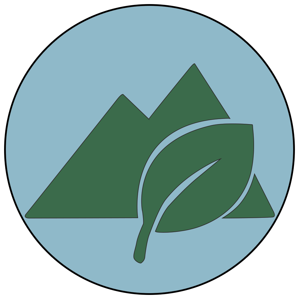 Interactive Design Projects with Narrative and Links