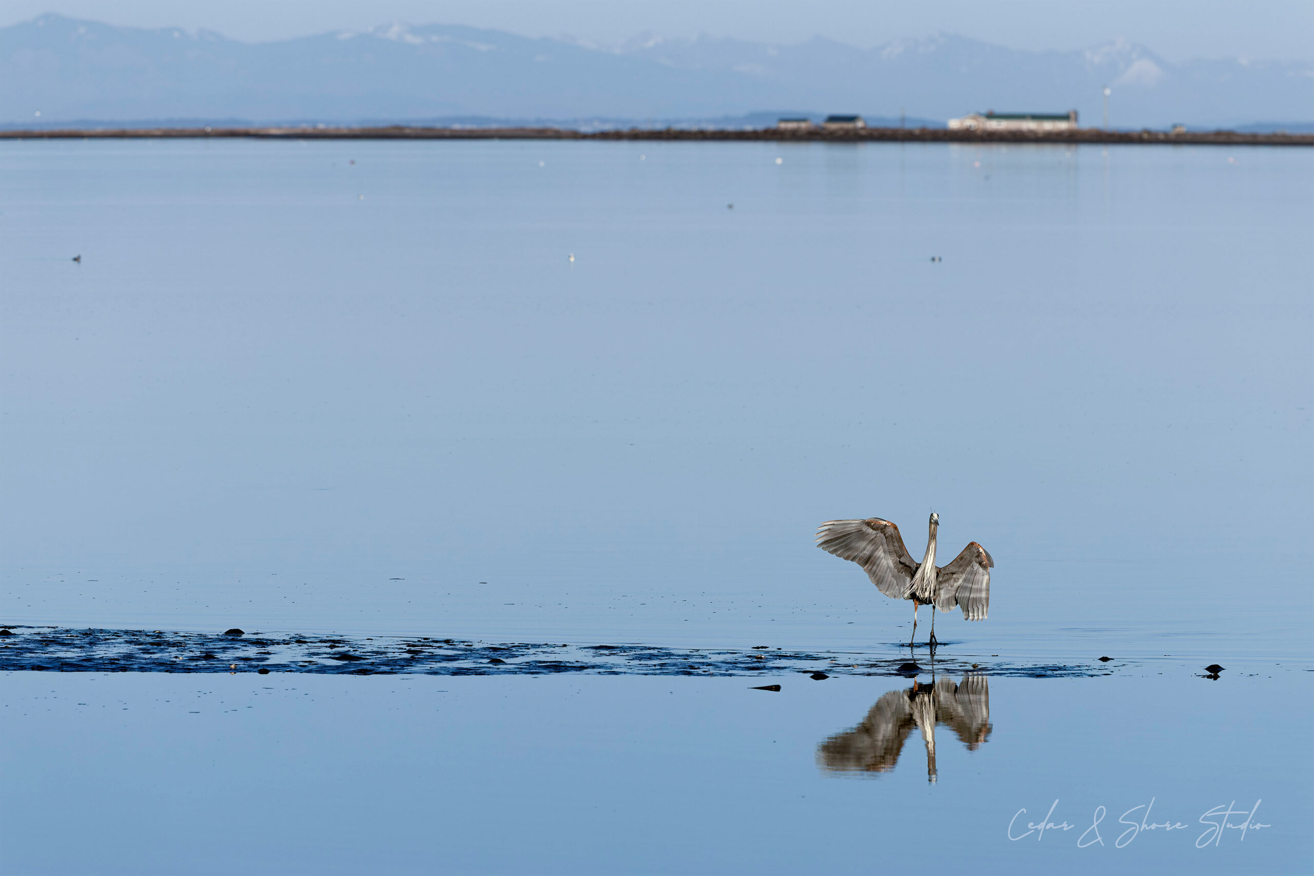 Reflection: Measuring My Growth as a Digital Citizen and Creator